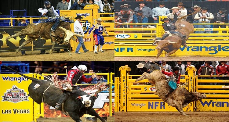 Bull Riding Event During National Finals Rodeo