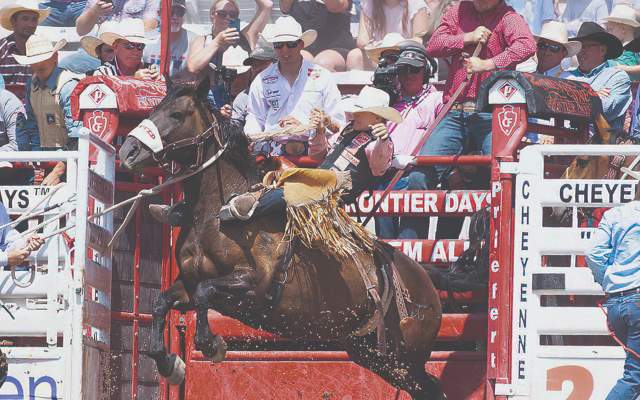 Cheyenne Wyoming Rodeo 2024